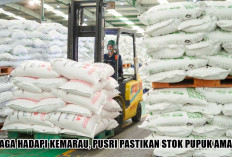 Siaga Hadapi Kemarau, Pusri Pastikan Stok Pupuk Aman untuk Petani