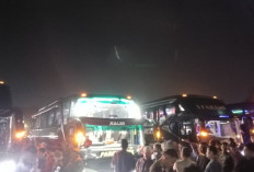 Alhamdulillah Utuh! Ini Jumlah Jamaah Haji Asal Lahat Tiba Kembali di Tanah Air dengan Selamat