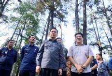 4 Alasan 2 Kepala Daerah Ini Lebih Tertarik Mengembangkan Taman Wisata Alam Punti Kayu Palembang