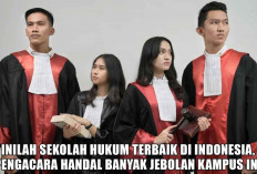Inilah Sekolah Hukum Terbaik di Indonesia, Pengacara Handal Banyak Jebolan Kampus Ini