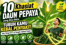 10 Khasiat Daun Pepaya yang Bisa Bikin Tubuh Kamu Kebal Penyakit dan Tetap Fit di Tengah Jadwal Padat