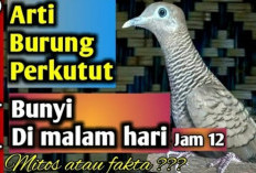 Rezeki atau Malapetaka! Fakta Perkutut Bunyi Tengah Malam, Waspada Bisa Jadi Pesan dari Alam Tak Kasat Mata