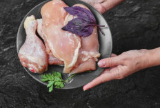 Benarkah Bagian Potongan Dada Daging Ayam yang Paling Tinggi Protein? Temukan Jawabannya di Sini 
