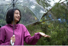 Mau Tetap Bugar di Musim Hujan? Ini 7 Tips Menjaga Kesehatan di Musim Hujan dan Cuaca Ekstrem