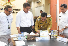 Momentum Bersejarah! Gubernur Sumsel dan Bupati Muba Teken Kesepakatan PI 10% Rimau