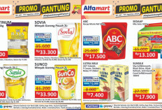 Katalog Promo JSM Alfamart Periode 2-4 Agustus 2024, Harga Spesial Gajian, Dijamin Makin Hemat!