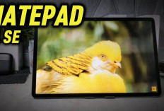 Cuma 2 Jutaan! HUAWEI MatePad SE 11 Inci, Tablet Metal dengan Layar Eye Comfort Lawan Tab A9