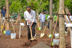 Gerakan Tanam Pohon Bersama di Pulo Gadung, Presiden Jokowi Tekankan Pentingnya Atasi Polusi dan Antisipasi Pe