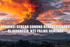 5 Provinsi dengan Gunung Berapi Terbanyak di Indonesia, NTT Paling Dominan