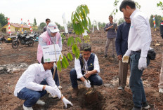 PLN UIP Sumbagsel Tanam 1.500 Pohon dalam Program Kampung Hijau Desa Jambu, Tingkatkan Ekonomi Masyarakat