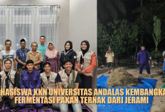 WOW KEREN! Mahasiswa KKN Universitas Andalas Kembangkan Fermentasi Pakan Ternak dari Jerami di Dharmasraya