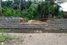 Bronjong Penahan Banjir 80 Meter Desa Nanjungan Lahat Selesai, Ini Kata Kades