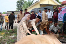 Polres Ogan Ilir Kurban 9 Sapi dan 7 Kambing, Dagingnya Dibagi ke Personel dan Warga Sekitar