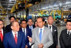 Jokowi Sambut Baik Rencana Investasi VinFast di Indonesia