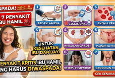 Jangan Dianggap Sepele, Ini 7 Penyakit Ibu Hamil yang Harus Diwaspadai Demi Menjaga Kesehatan Ibu dan Bayi