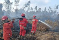 48 Titik Api Karhutla di OKI Terus Meningkat, Ini Daftar Kecamatan yang Terpantau