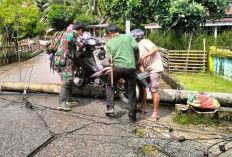 Ini Langkah Babinsa Kodim Bengkulu Selatan Atasi Pohon Tumbang dan Tiang Listrik