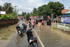4 Kecamatan di Muratara Langganan Banjir di Musim Penghujan, Catat! Mungkin Termasuk Kecamatan Kamu 