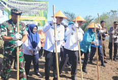 Demi Kesejahteraan Petani, Pj Walikota Elman ST Tanam Padi Gogo di Lahan Sawit Seluas 99 Hektar