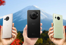 3 Line Up Smartphone Terbaru Sharp Cocok untuk Fotografi hingga Videografi