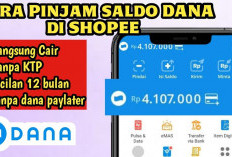 Solusi Cepat Pinjam Saldo DANA di Shopee Tanpa KTP dan Langsung Cair, Begini Triknya