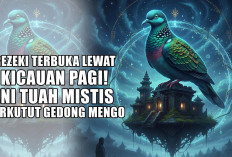 Rezeki Terbuka Lewat Kicauan Pagi! Ini Tuah Mistis Perkutut Gedong Mengo