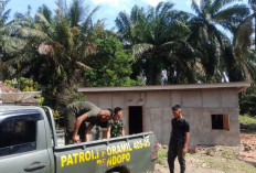 Ternyata Ini Langkah Satgas TMMD Kodim Lahat Dalam Percepat Pembangunan RTLH Titik 5