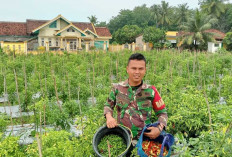 Begini Cara Babinsa Koramil Simpang Pematang Kodim Tulang Bawang Jadi Inspirasi Warga