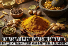 Rahasia Rempah Emas Nusantara: Ini Dia 5 Sentra Jahe Terbanyak dan Terbaik di Indonesia!