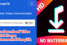 Mau Video TikTok Tanpa Watermark? Ikuti 7 Langkah Gampang Download Gratis di Snaptik, Kuyy!