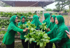 Rayakan HUT ke 80 Persit KCK, Helat Lomba Permainan Tradisional dan Panen Sayur serta Jagung, Ini Pesan Ketua