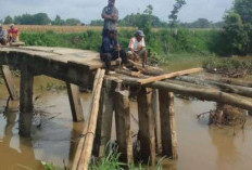 Jembatan Putus di Desa Tamaram Jaya OKU Timur Tak Kunjung Diperbaiki, Ini Yang Dilakukan Warga 