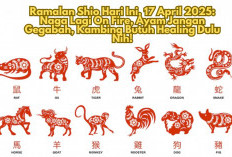 Ramalan Shio Hari Ini, 17 April 2025: Naga Lagi On Fire, Ayam Jangan Gegabah, Kambing Butuh Healing Dulu Nih!