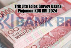 SIKAT! 5 Trik Jitu Lolos Survey Usaha Pinjaman KUR BRI 2024, Gak Bakal Melesat, Pasti Berhasil!