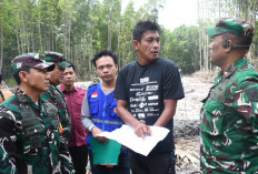 Dukung Ketahanan Pangan, Danrem Gapo Tinjau Progres Cetak Sawah di Banyuasin, Begini Hasilnya