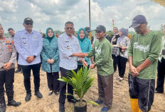 Perkuat Ketahanan Pangan, Walikota H. Arlan Buka Lahan Baru dan Salurkan Bibit