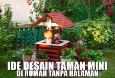 Ruang Terbatas Jadi Ladang Kreativitas! Ide Desain Taman Mini di Rumah Tanpa Halaman, Bikin Hidup Lebih Nyaman