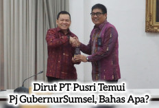 Dirut PT Pusri Ajak Rombongan Temui Pj Gubernur Sumsel, Bahas Apa?