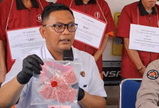 Wah! Ditresnarkoba Polda Sumsel Amankan 9 Pengedar Narkoba di November 2024, Berikut Barang Buktinya