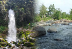 5 Wisata Hidden Gem di Empat Lawang, Permata Tersembunyi di Tanah Empat Pendekar