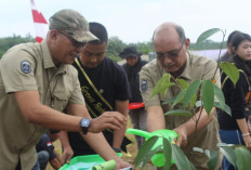 Pulihkan Lingkungan dan Tambah Ruang Terbuka Hijau, KLHK Lakukan Penanaman Pohon Serentak di Indonesia
