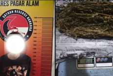 Lagi, Satresnarkoba Polres Pagaralam Amankan Pelaku Tindak Pidana Narkotika