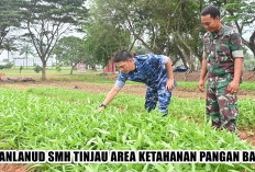 Lanud SMH Buka Lahan Ketahanan Pangan Baru Seluas 6 Hektar, Ditanami Sayuran dan Semangka
