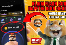 Cara Masukan Token Hamster Kombat ke Wallet, Ini Syarat Dan Ketentuannya