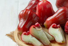 Daftar Daerah di Sumsel Penghasil Jambu Air Terbanyak Tahun 2025, No 1 Ada Ogan Ilir