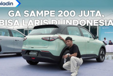 Mobil Listrik Murah yang Bikin Binguo Nangis! Siap Menggebrak Pasar Indonesia!
