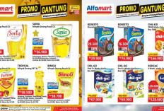 Makin Hemat KATALOG Promo GanTung Alfamart 27 Desember 2024, Spesial Liburan Akhir Tahun