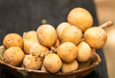 5 Daerah Penghasil Duku Terbesar di Indonesia, Bukan Sumatera Selatan Juaranya Tapi Daerah Ini