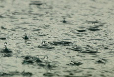 INFO BMKG, Prakiraan Cuaca di Sumsel Hari Ini Senin 8 September 2025