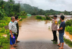 Penyebab Puluhan Rumah Kembali Terendam Banjir! Warga di Dua Kecamatan Muratara Terisolir 